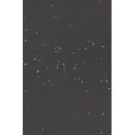 PRIMAVERA NERO 120X120 - MUTINA BOA05 01 MUTINA - 1