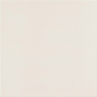 UNICOLORE BIANCO B TECHNIC R10 20x20 cm - CASALGRANDE PADANA 401104 CASALGRANDE PADANA - 1