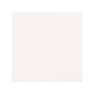 UNICOLORE BIANCO ASSOLUTO ANTIBACTERIAL  POLISHED  30x60 cm - CASALGRANDE PADANA 799118 CASALGRANDE PADANA - 1