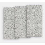 VENICE VILLA rialto silver Poliert 120X60 - FMG IRIS L62421