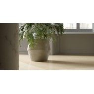 IL VENEZIANO 60X60 SEMINATO MIELE HONE  10mm  - Graniti Fiandre AL243X1060 GRANITI FIANDRE - 1