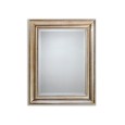 Frame Mirrors Edward Spiegel L69,5xH89,5xD6 DEVON&DEVON - 1