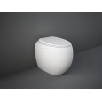 BACK TO WALL WC RIMLESS hidden fixings included CLOUD WHITE MATT  Rak Ceramics