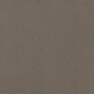 TITANO GRIGIO ASH 14MM 60x60  - Casalgrande Padana  6040031 CASALGRANDE PADANA - 1