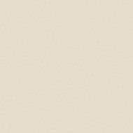 CALEIDOSCOPIO AVORIO ANTIBACTERIAL 20x20  - Casalgrande Padana  9405749 CASALGRANDE PADANA - 1