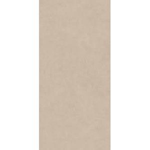 Boost Natural Ash 50X120 - Atlas Concorde A64Q CERAMICHE ATLAS CONCORDE - 1