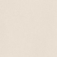 PARADE Bianco 120x120 Fond naturel mat lisse rectifié monocalibre - Ceramica d'Imola PRTU 120W RM CERAMICA D'IMOLA - 1