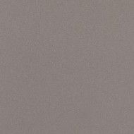 PARADE Grigio 120x120 Monocaliber rectified smooth matt natural background - Ceramica d'Imola PRTU 120G RM CERAMICA D'IMOLA - 1