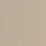 PARADE Beige 120x120 Monokaliber rektifizierte glatte polierte Fliese - Ceramica d'Imola PRTU 120B LV CERAMICA D'IMOLA - 1