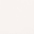 UNICOLORE  BIANCO A TECHNIC R10 20X20  - CASALGRANDE PADANA 401101 CASALGRANDE PADANA - 1
