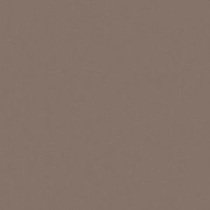 UNICOLORE  GRIGIO CENERE TECHNIC R10 20X20  - CASALGRANDE PADANA   401102 CASALGRANDE PADANA - 1