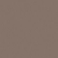 UNICOLORE  GRIGIO CENERE TECHNIC R10 30X30 - CASALGRANDE PADANA   701102 CASALGRANDE PADANA - 1