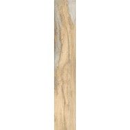 INFUSION BIRCH  24x150 -  J90220 Ceramiche Rondine CERAMICA RONDINE - 1