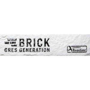 NEW YORK WHITE FIRMA BRICK  6x25 -  J85875 Ceramiche Rondine CERAMICA RONDINE - 1