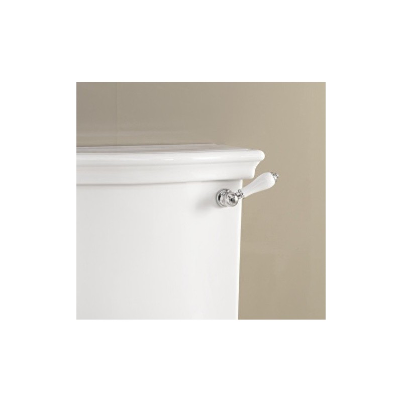 Westminster  Collection Levetta per cassetta bassa e monoblocco L3,2xH4,4xD9,8 con finitura Cromo