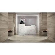 FAPNEST 20X120 SILVER MATT RECTIFIED - fNZZ Fap Ceramiche FAP CERAMICHE - 1