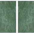 Atlas Plan Exotic Green Bookmatch Polished 162x324 cm - 12mm  - Atlas Concorde A9CO ATLAS PLAN - 1