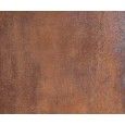 CORTEN COPPER NATURAL 29,75X59,55 - Apavisa APAVISA - 1