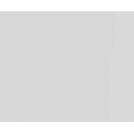 ELEMENTS SNOW MATT 44,63X119,30 - Apavisa APAVISA - 1