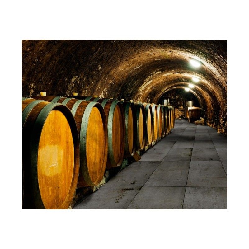 REGENERATION BLACK NATURAL 15X90 14,74X89,46 - Apavisa APAVISA - 1