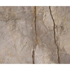 WILD FOREST GREY NATURAL MIX 119,3X119,3 - Apavisa APAVISA - 1