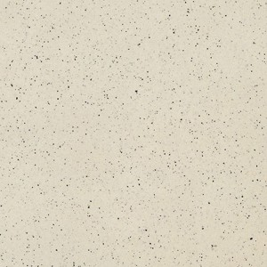 GRANITO 1 NEBRASKA TECHNIC R10 12MM 20x20  - CASALGRANDE PADANA  9191128 CASALGRANDE PADANA - 1