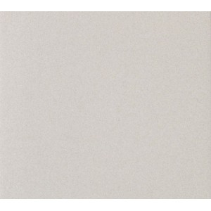 GRANITO EVO TUCSON ANTIBACTERIAL 45x45 - CASALGRANDE PADANA  3355883 CASALGRANDE PADANA - 1