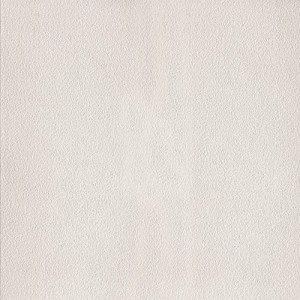 LIGHT SCOLPITO 30X60 6MM - GIGACER GIGACER - 1