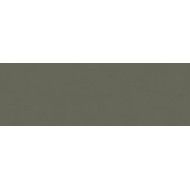 PAPERS  VERDE SQ 60X180 - RAGNO RAD7 RAGNO  - 1