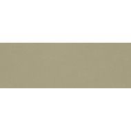 VIDA  VERDE 30X90 SQ - RAGNO RA6E RAGNO  - 1