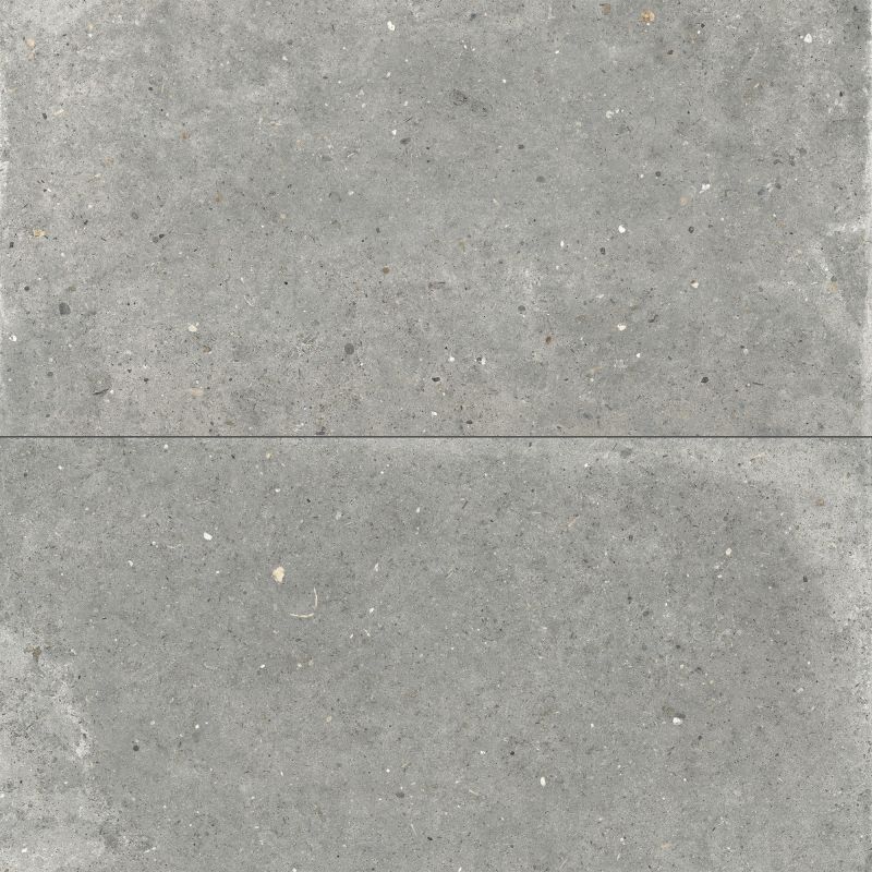 PLEIN AIR ANIMA GRIGIO 20 R11 RETTIFICATO 80X80 20MM - DESVRES ARIANA PF60012098 DESVRES ARIANA - 1