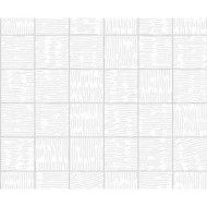 DIALOGO WHITE RIG MOSAIQUE  5X5 29,75X29,75/ APAVISA APAVISA - 1