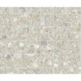 MOMENTUM BEIGE NATURALE MOSAICO 5X5 29,75X29,75/ APAVISA APAVISA - 1