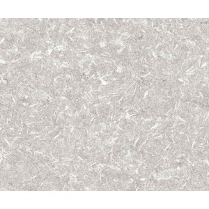 TRACK GREY NATURAL 49,75X99,55 APAVISA APAVISA - 1