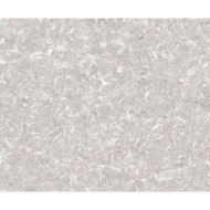 TRACK GREY NATURAL 49,75X99,55 APAVISA APAVISA - 1