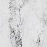 MEDICEA MARBLE WHITE POLI  120X120 - RAK CERAMICS RAK CERAMICS TILE - 1