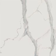 Statuario Bianco Bianco 120x120 - CERDOMUS 96583 CERDOMUS - 1