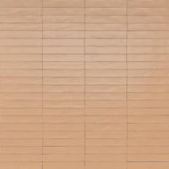 WISH PETAL 5,3X30 - RAGNO RCGC RAGNO  - 1