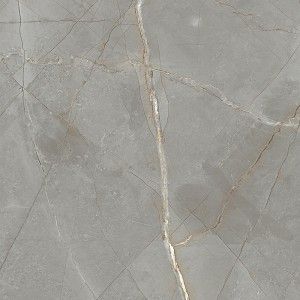 JEWELS RAYMI JW 16 NATURAL SURFACE  120X120 9,3mm - MIRAGE TY31 MIRAGE - 1