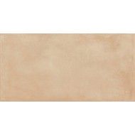 AMURI 60X60 BISCOTTO R10 RETTIFICATO - RAGNO RCPQ RAGNO  - 1