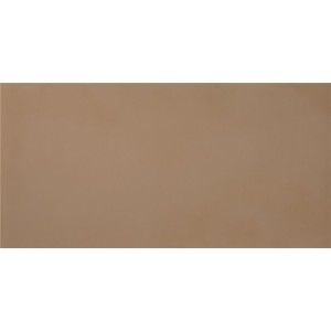 R-EVOLUTION TERRA R10 9MM 30x60 - CASALGRANDE PADANA 11791136 CASALGRANDE PADANA - 1