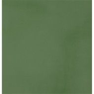 R-EVOLUTION GREEN R10 9MM 60x60 9MM - CASALGRANDE PADANA 11741134 CASALGRANDE PADANA - 1