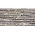 EVOLUTA CAVE DARK 30X60 - CERAMICHE PIEMME 03608A PIEMME CERAMICHE - 1