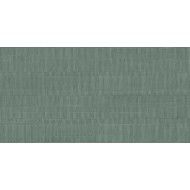 PIGMENTO CARDBOARD VERDE 60X120 SALVIA SILKTECH SQ - ERGON EMILGROUP ELSL ERGON EMILGROUP - 1