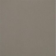 UNICOLORE GRIGIO CENERE TECHNIC R10 12MM 20x20 12MM - CASALGRANDE PADANA 191102 CASALGRANDE PADANA - 1
