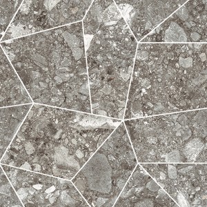 NORR RR 02 GRA  NATURALE PATCHY 40X34,7 - MIRAGE AMX6 MIRAGE - 1