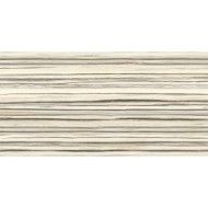 INFINITO 2.0 ZEBRINO POLISHED BOOKMATCH A 163X324 - FONDOVALLE INF1453 CERAMICA FONDOVALLE - 1