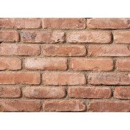 FANTE 71 Mattone da Rivestimento Geopietra Ricostruito GEOPIETRA - 1