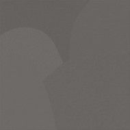 ARTWORK Nero  120x120 cm 10,5mm NATUREL - LEONARDO CERAMICA ARTW 120N RM LEONARDO CERAMICA - 1