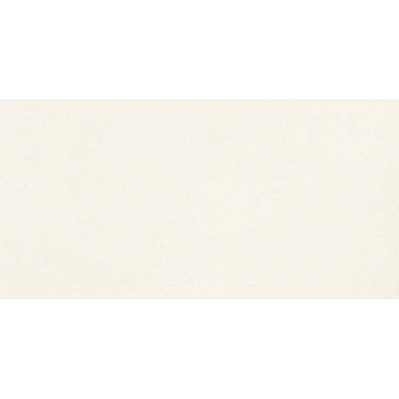 UNICOLORE BIANCO ASSOLUTO ANTIBACTERIAL TECHNIC R10 20x20 - CASALGRANDE PADANA 403701 CASALGRANDE PADANA - 1